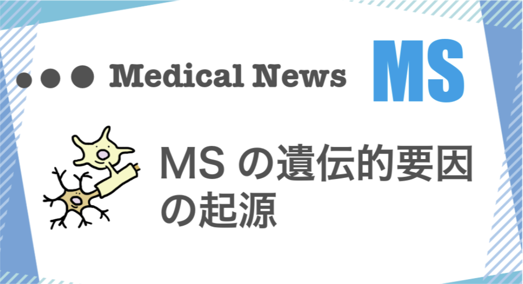 MSの遺伝的要因の起源について海外の文献を紹介した記事。2024年4月に発行した情報誌の有料記事。
