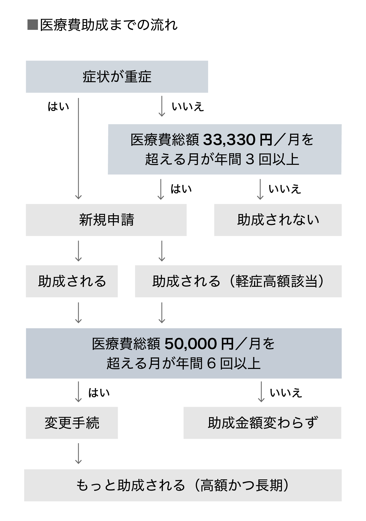 視神経脊髄炎の医療費助成の申請までの流れ（指定難病制度の概要）